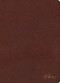 KJV Spurgeon Study Bible, Brown Bonded Leather by Alistair Begg, Holman Bible Publishers, 9781430082668