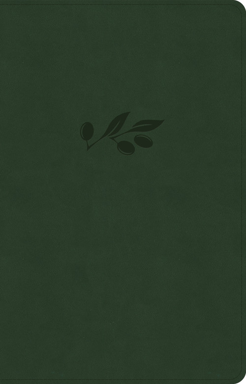 NASB Large Print Thinline Bible, Olive LeatherTouch by Holman Bible Publishers, 9781430086048
