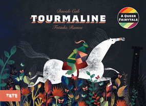 Tourmaline (A Picture Book) by Davide Calì, Fatinha Ramos, 9781849768702