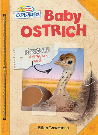 Active Minds Explorers: Baby Ostrich by Ellen Lawrence, 9781649969811