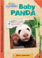 Active Minds Explorers: Baby Panda by Ellen Lawrence, 9781649969798
