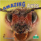 Amazing Ants - 9781039644618 by Miranda Kelly, 9781039644618