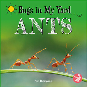 Ants - 9781638975380 by Kim Thompson, 9781638975380
