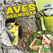 Aves hermosas (Beautiful Birds) by Harold Morris, 9781039649392