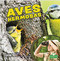 Aves hermosas (Beautiful Birds) by Harold Morris, 9781039649392