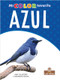 Azul (Blue) by Amy Culliford, Milly Blanco, Gilda Kupferman, 9781427134615