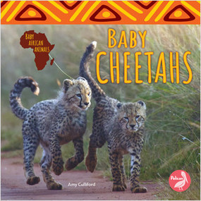 Baby Cheetahs - 9781638971658 by Amy Culliford, 9781638971658