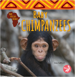Baby Chimpanzees by Amy Culliford, 9781638970804