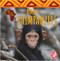 Baby Chimpanzees by Amy Culliford, 9781638970804