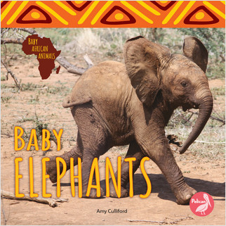 Baby Elephants - 9781638971702 by Amy Culliford, 9781638971702