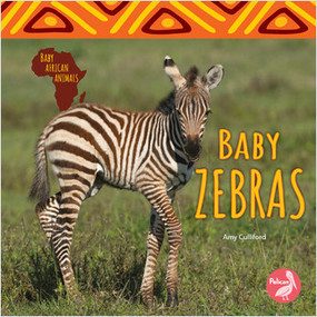 Baby Zebras by Amy Culliford, 9781638970835