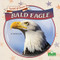 Bald Eagle - 9781039661769 by Christina Earley, 9781039661769