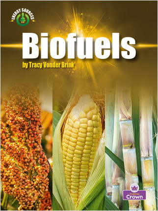 Biofuels - 9781039660632 by Tracy Vonder Brink, 9781039660632