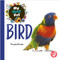 Bird - 9781638975472 by Douglas Bender, 9781638975472