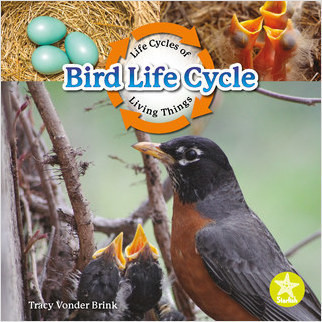 Bird Life Cycle by Tracy Vonder Brink, 9781638974529