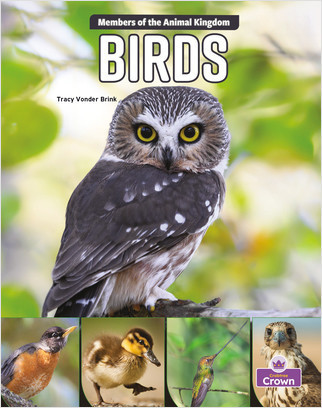Birds - 9781039800243 by Tracy Vonder Brink, 9781039800243