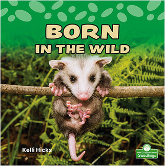 Born in the Wild by Kelli Hicks, 9781039662193
