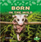 Born in the Wild by Kelli Hicks, 9781039662193