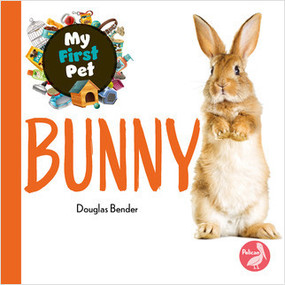 Bunny - 9781638974338 by Douglas Bender, 9781638974338
