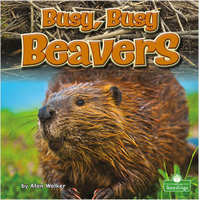 Busy, Busy Beavers by Alan Walker, 9781039661851