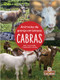Cabras (Goats) - 9781427134455 by Amy Culliford, Santiago Ochoa, Gilda Kupferman, 9781427134455