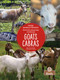 Cabras (Goats) Bilingual Eng/Spa by Amy Culliford, Pablo de la Vega, 9781039624450