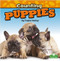 Counting Puppies by Taylor Farley, 9781039661981