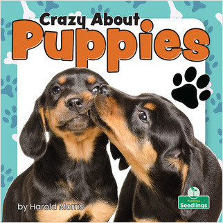Crazy About Puppies by Harold Morris, 9781039644922