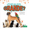 ¿Cuál es más grande? (Which Is Biggest?) by Miranda Kelly, Pablo de la Vega, 9781427130914