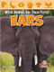 Ears - 9781039646285 by Amy Culliford, 9781039646285