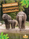 Elephants - 9781039661615 by Amy Culliford, 9781039661615
