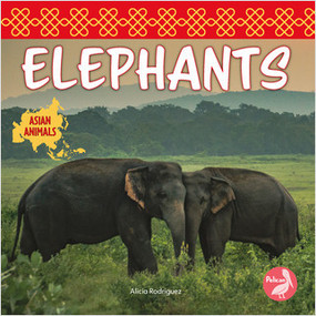 Elephants - 9781638974352 by Alicia Rodriguez, 9781638974352