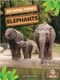 Elephants - 9781039659667 by Amy Culliford, 9781039659667