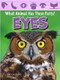 Eyes - 9781039644403 by Amy Culliford, 9781039644403