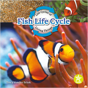 Fish Life Cycle - 9781638975694 by Tracy Vonder Brink, 9781638975694
