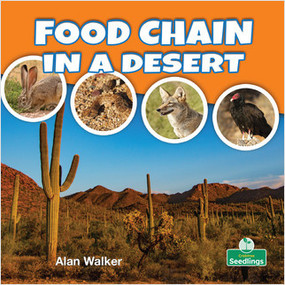 Food Chain in a Desert - 9781427130327 by Alan Walker, Amy Culliford, 9781427130327