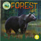 Forest Biome - 9781638975809 by Kerri Mazzarella, 9781638975809