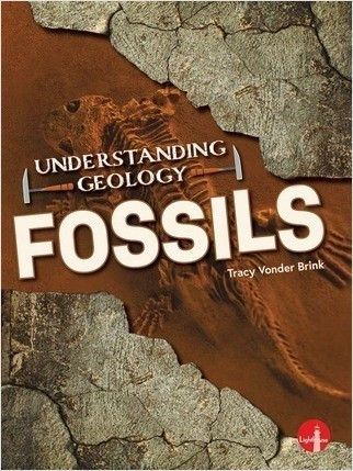 Fossils - 9798887350462 by Tracy Vonder Brink, 9798887350462