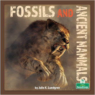 Fossils and Ancient Mammals by Julie K. Lundgren, 9781039644786