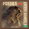 Fossils and Ancient Mammals by Julie K. Lundgren, 9781039644786