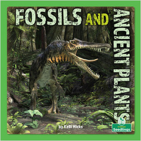 Fossils and Ancient Plants by Kelli Hicks, 9781039644793