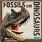 Fossils and Dinosaurs - 9781039646711 by Julie K. Lundgren, 9781039646711