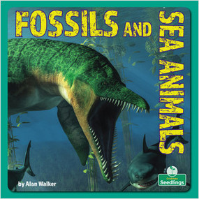 Fossils and Sea Animals by Alan Walker, 9781039644816