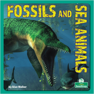 Fossils and Sea Animals by Alan Walker, 9781039644816