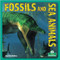 Fossils and Sea Animals by Alan Walker, 9781039644816