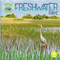 Freshwater Biome by Kerri Mazzarella, 9781638974666