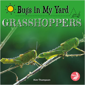 Grasshoppers - 9781638974284 by Kim Thompson, 9781638974284