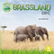 Grassland Biome by Kerri Mazzarella, 9781638975823