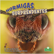 Hormigas sorprendentes (Amazing Ants) by Miranda Kelly, 9781039649385