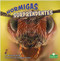 Hormigas sorprendentes (Amazing Ants) by Miranda Kelly, 9781039649385